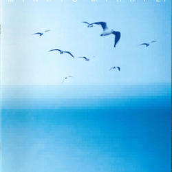 基本協定に関連するページを更新しました！の写真