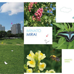 子どもアドベンチャー２０１６のプログラムに参画します！の写真