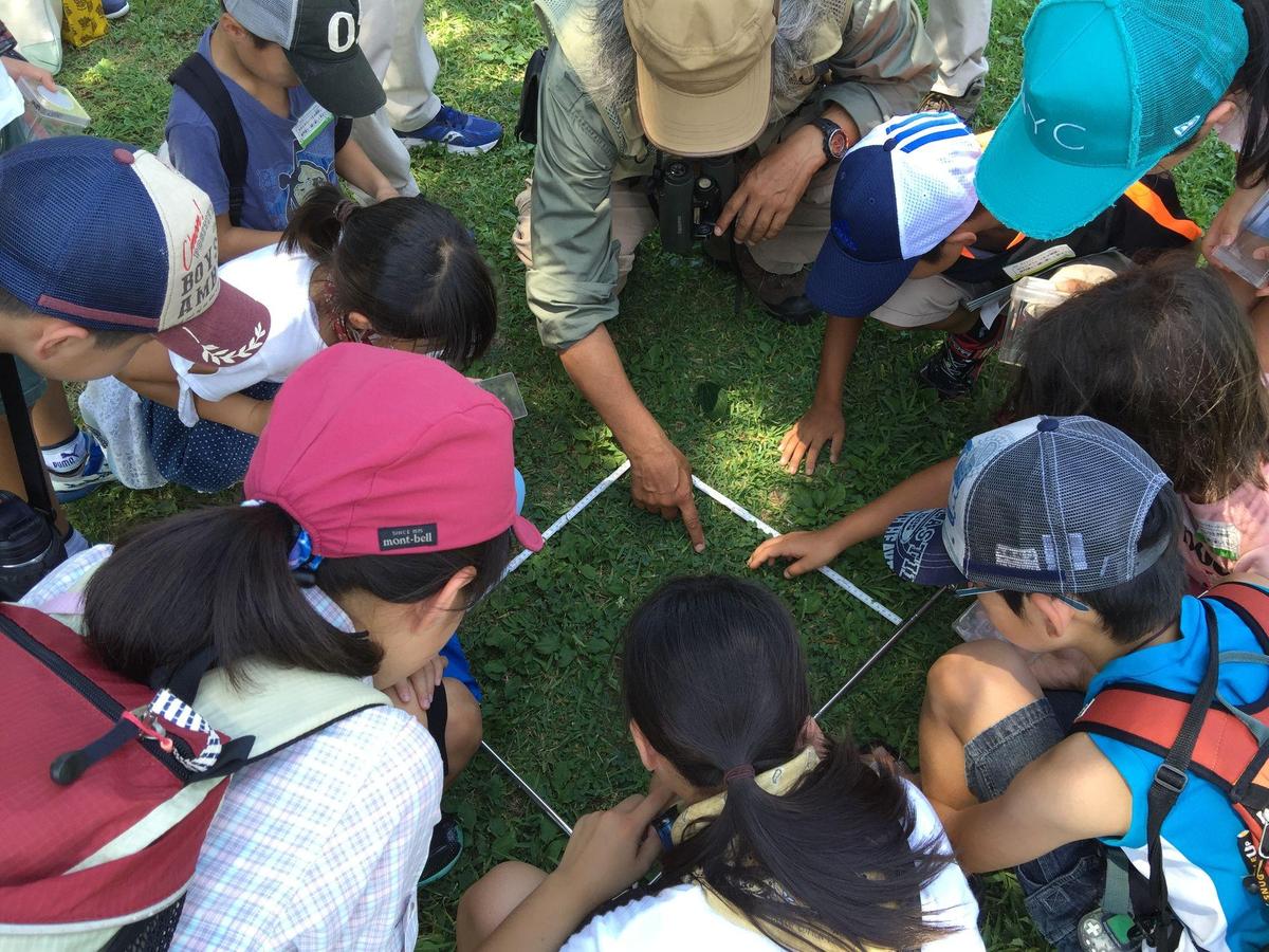 子どもアドベンチャー２０１６を開催しました！の写真