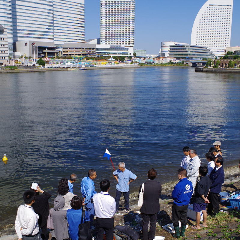 みなとみらい21の海の中を覗いてみると・・・|トピックス|みなとみらい