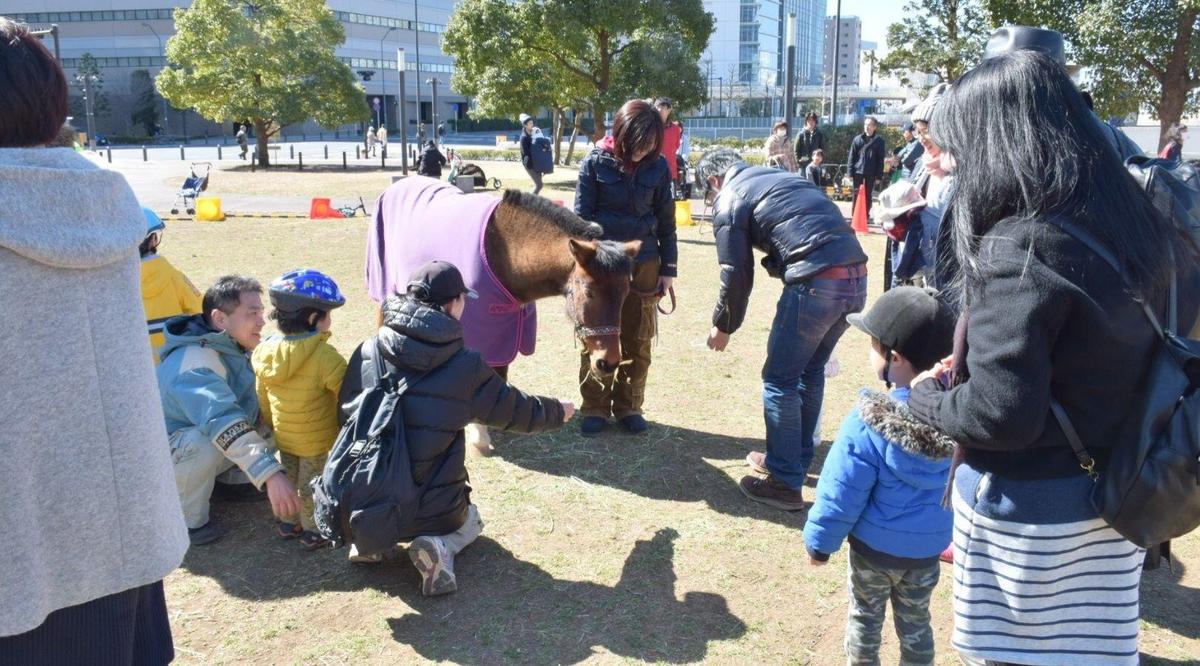みなとみらいで乗馬体験！の写真