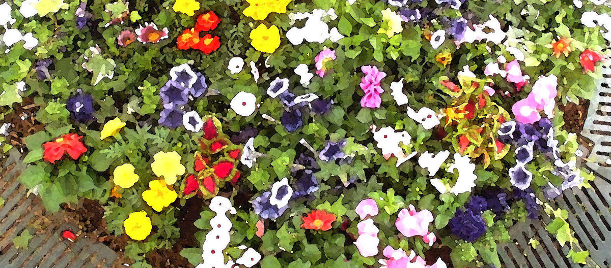 「みなとみらい GARDEN LIFE 2019」が賑やかに開催されました♪の写真