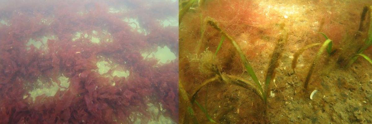 みなとみらいの