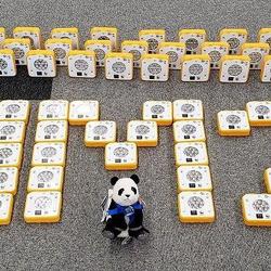 みなとみらいから「エネルギー貧困」へエコな贈り物の写真