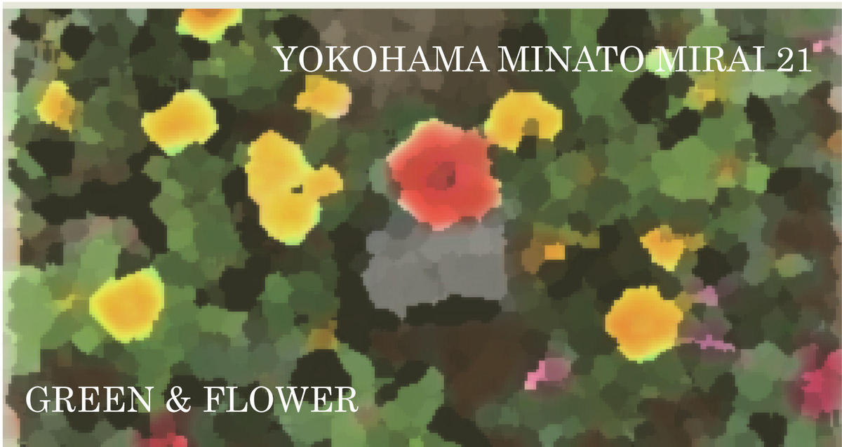 桜木町駅前広場の植栽が夏バージョンの花苗になりました。の写真