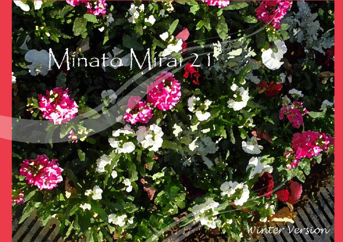 桜木町駅前広場の植栽が冬バージョンになりました。の写真