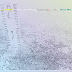 汽車道護岸沿いアマモ場　調査報告の写真