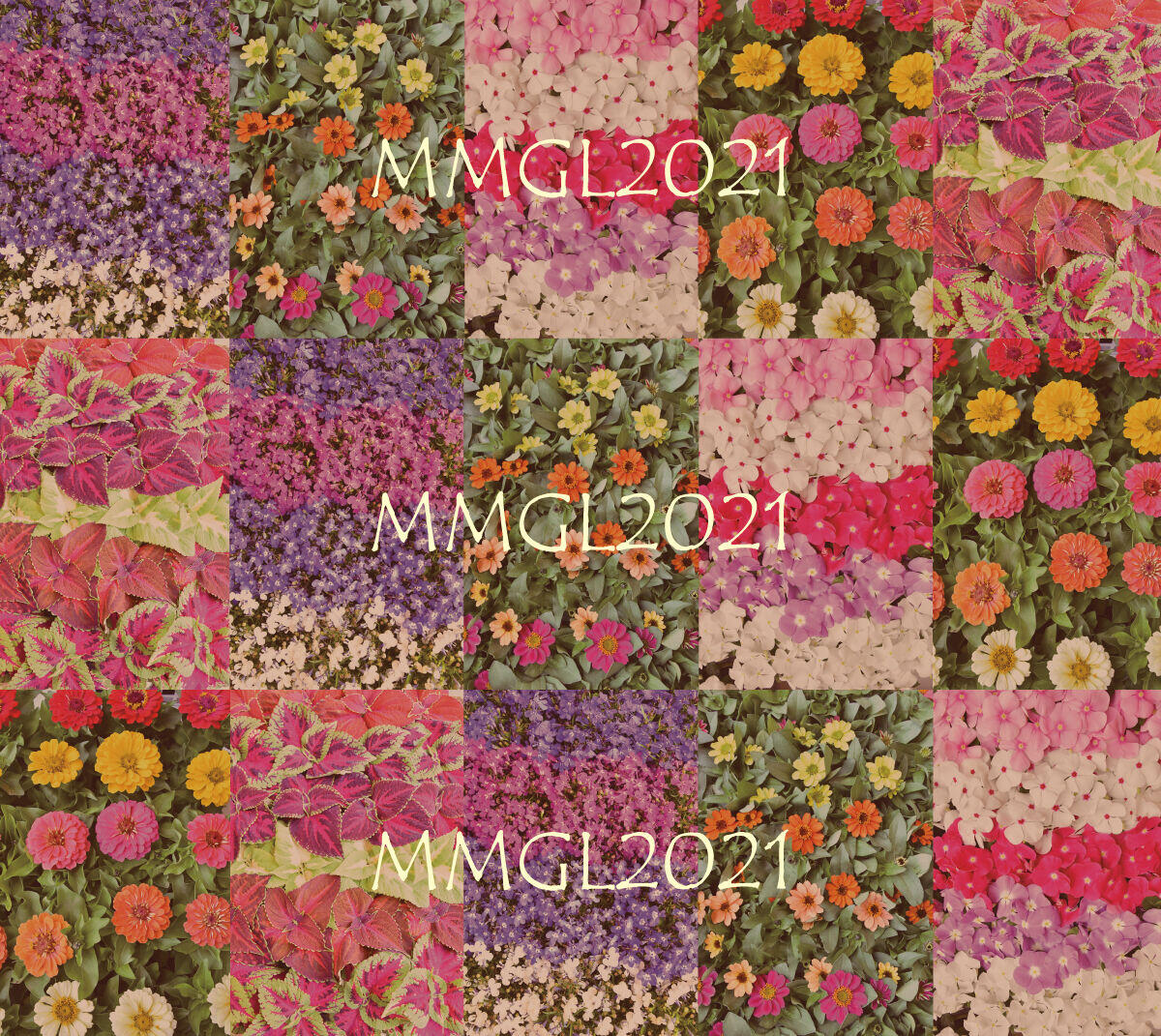 「みなとみらい GARDEN LIFE 2021」を開催しました＆地区内3カ所に花苗を植栽しました！の写真