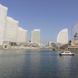 アマモの播種（種植え）と水環境調査を行いました。の写真