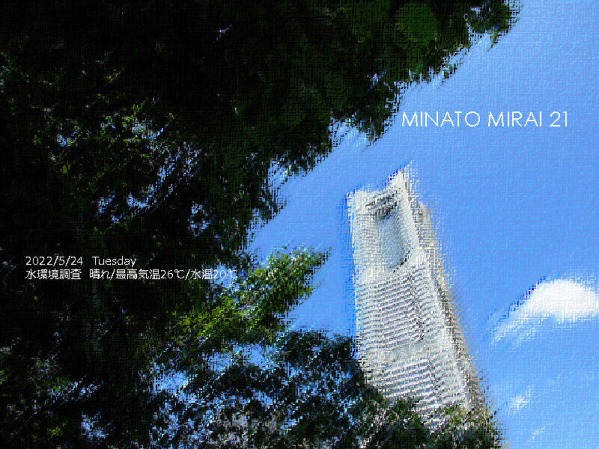 めんた 【廃盤＊帯付き】暗い街中に火を付けて/マタノシタシティー マタノシタシティー / 暗い街中に火をつけて | CD,日本,ギター