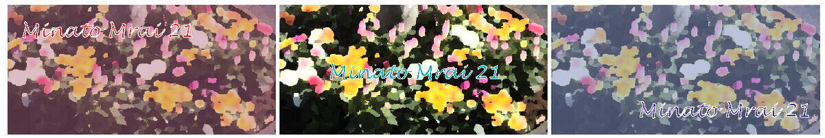 桜木町駅前広場の植栽が夏バージョンの花苗になりました。の写真