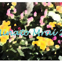 桜木町駅前広場の植栽が夏バージョンの花苗になりました。の写真