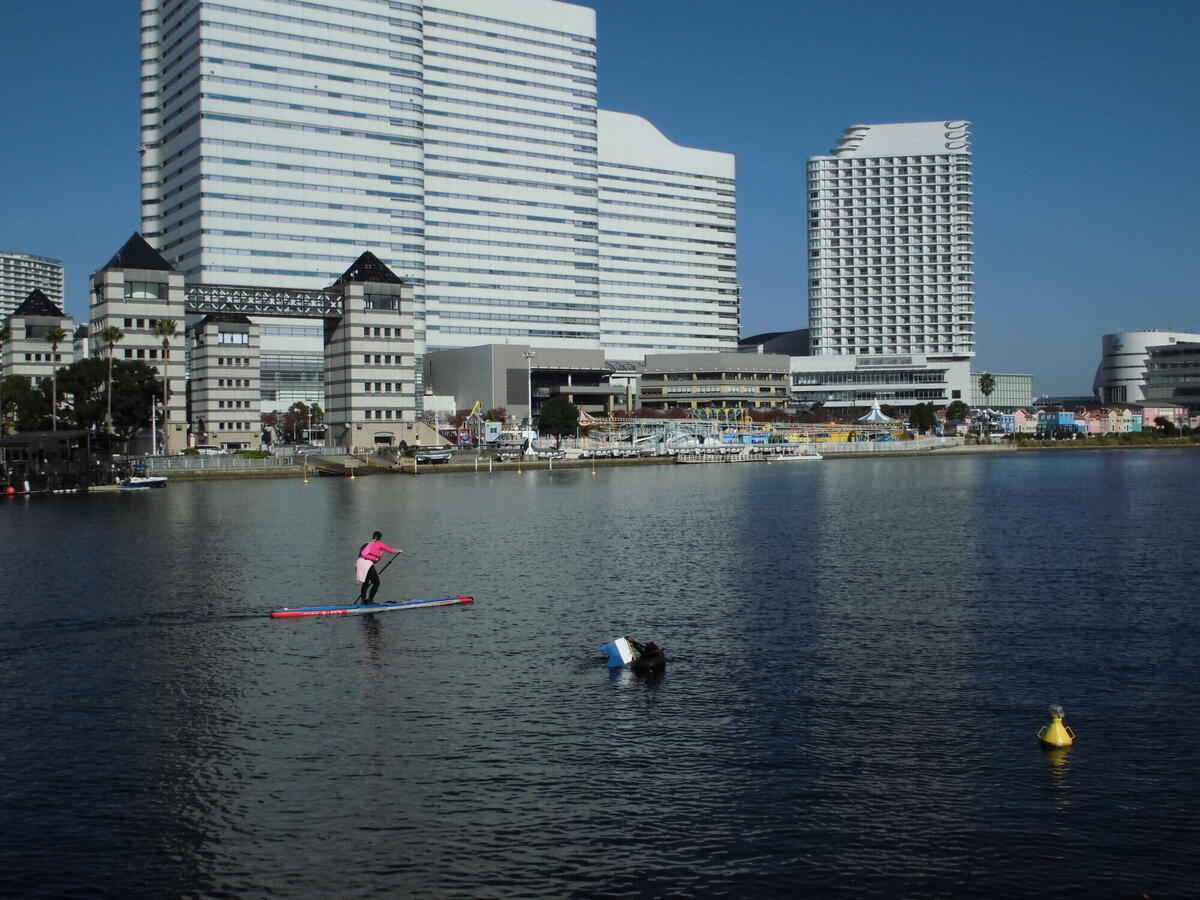 2022年度のアマモ播種＆苗の移植と水環境調査を行いました。の写真