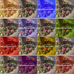 桜木町駅前広場の植栽がカラフルにＭＭを彩っています♪の写真