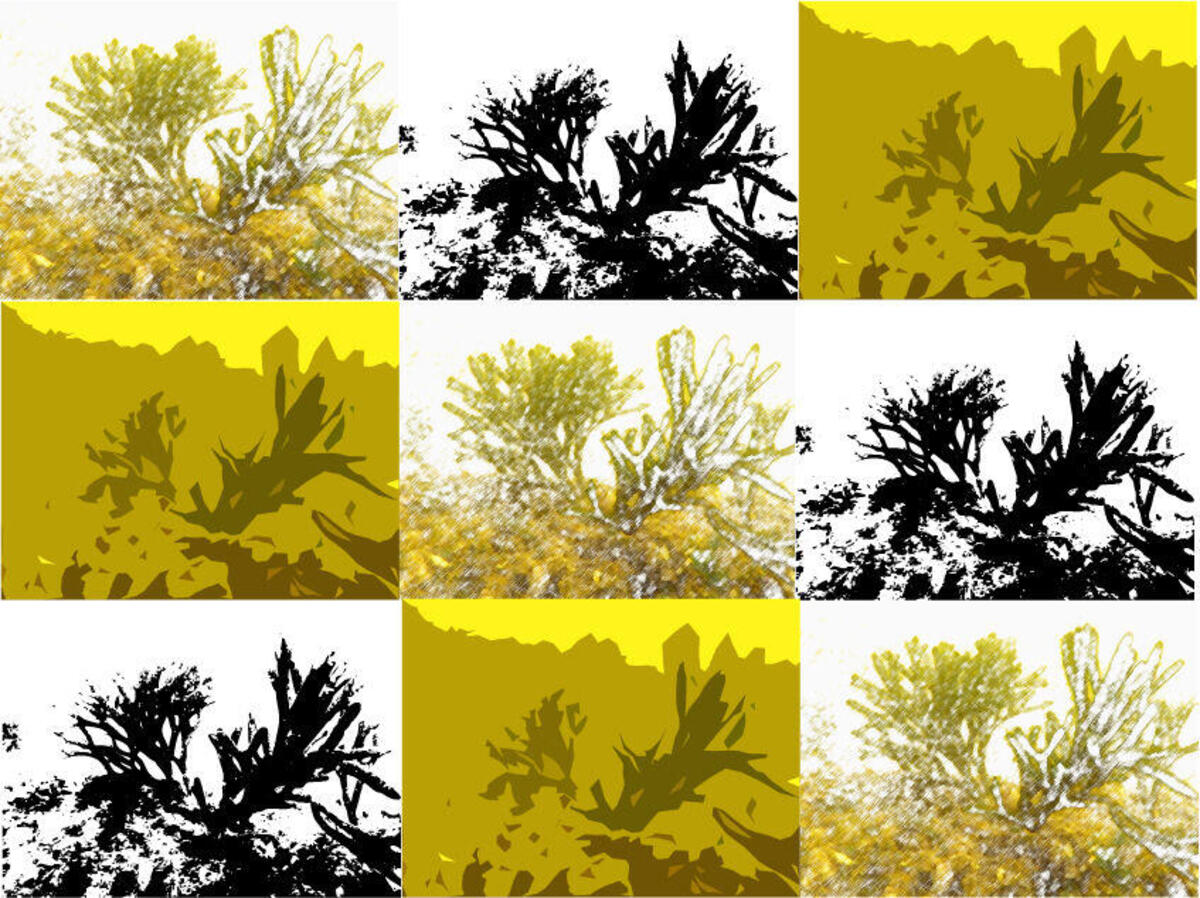 2023年度の水環境調査を行いました。（調査日：2023年5月30日）の写真