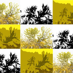 2023年度の水環境調査を行いました。（調査日：2023年5月30日）の写真