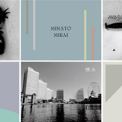 『アマモの生育状況確認＆水環境調査』を行いました。の写真