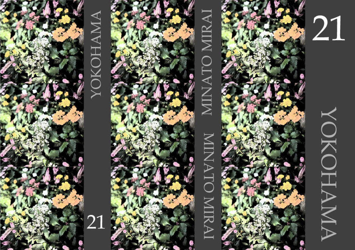 桜木町駅前広場の植栽が「夏の花」へと変わりました。の写真