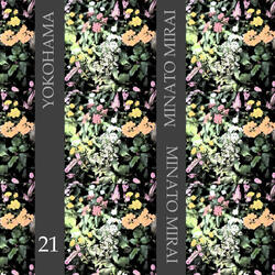 桜木町駅前広場の植栽が「夏の花」へと変わりました。の写真