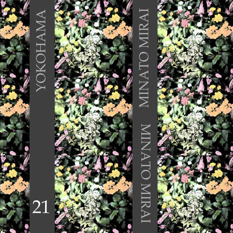 桜木町駅前広場の植栽が「夏の花」へと変わりました。|トピックス