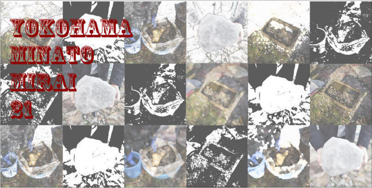 2024年度第2回（11月8日実施）の水環境調査結果についての写真