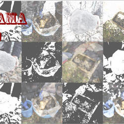 2024年度第2回（11月8日実施）の水環境調査結果についての写真