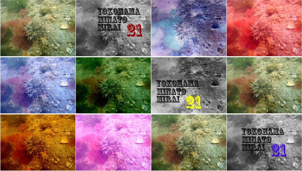 2024年度第３回（20251月25日実施）の水環境調査についての写真