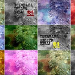 2024年度第３回（20251月25日実施）の水環境調査についての写真