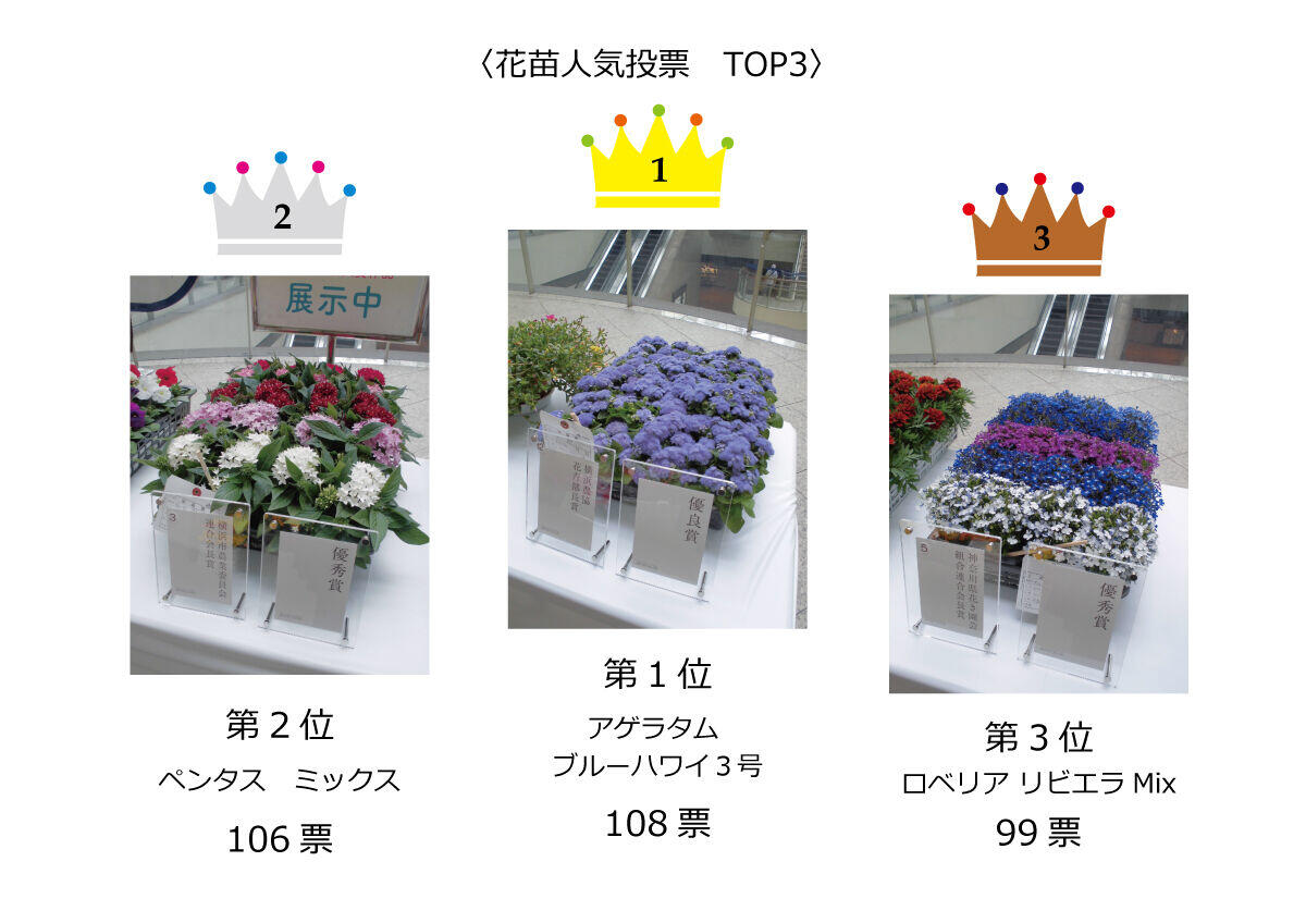 花苗人気投票.jpg