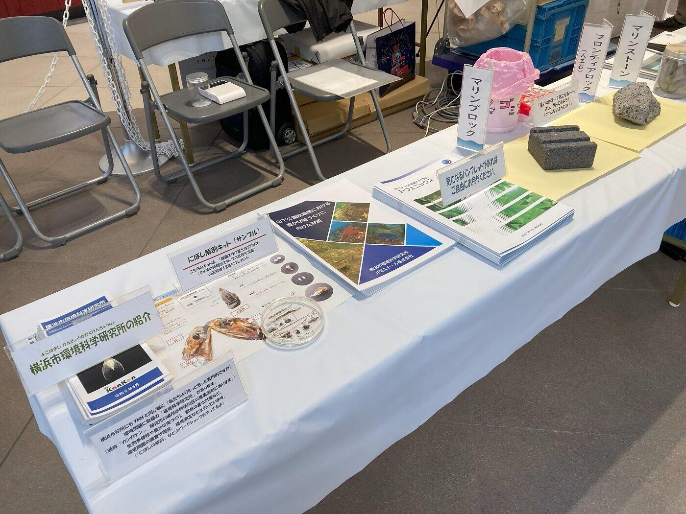 25.1.25&26_YOXO Fes_6.jpg