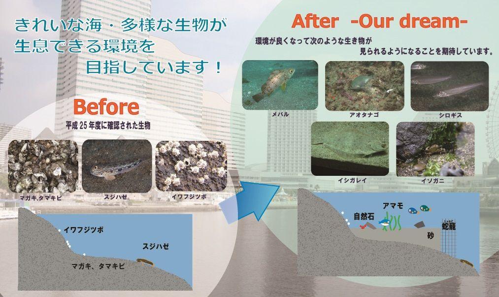 アマモ_BeforeーAfterイメージ.jpg