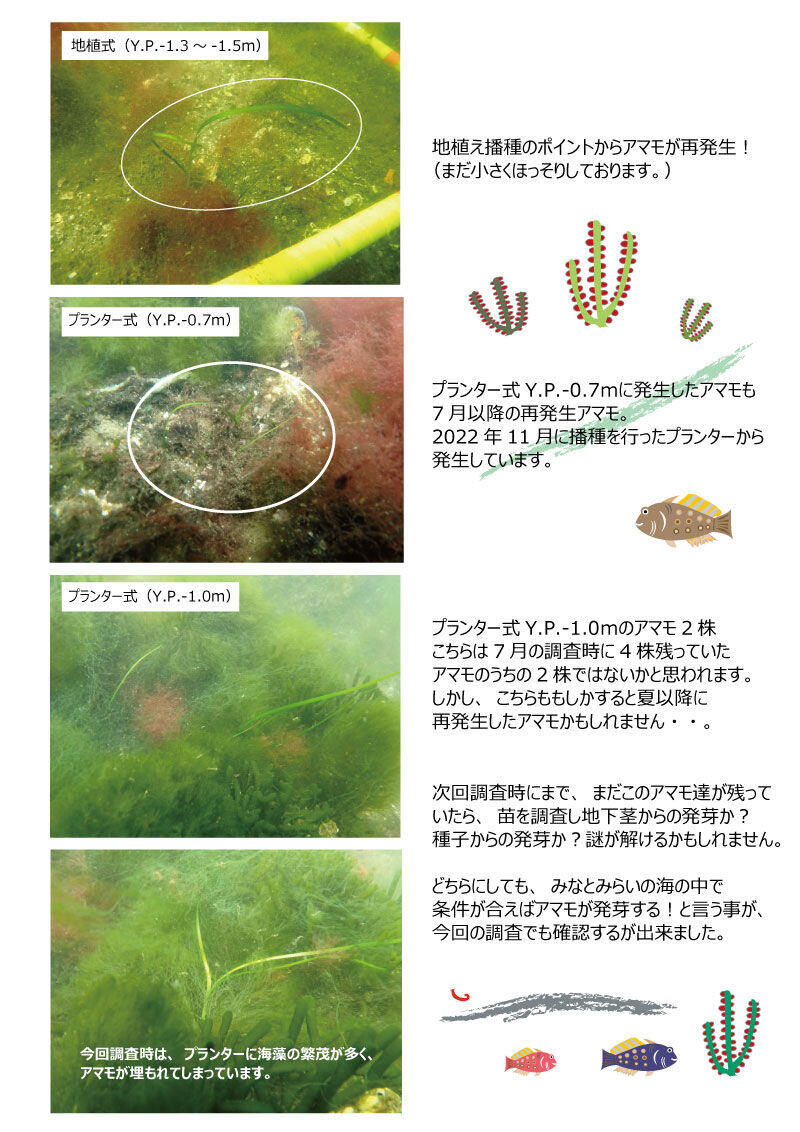 2024.3.12 水環境調査.jpg