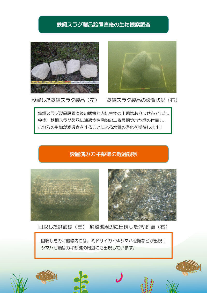 24.11月鉄鋼スラグ、カキ殻礁.jpg