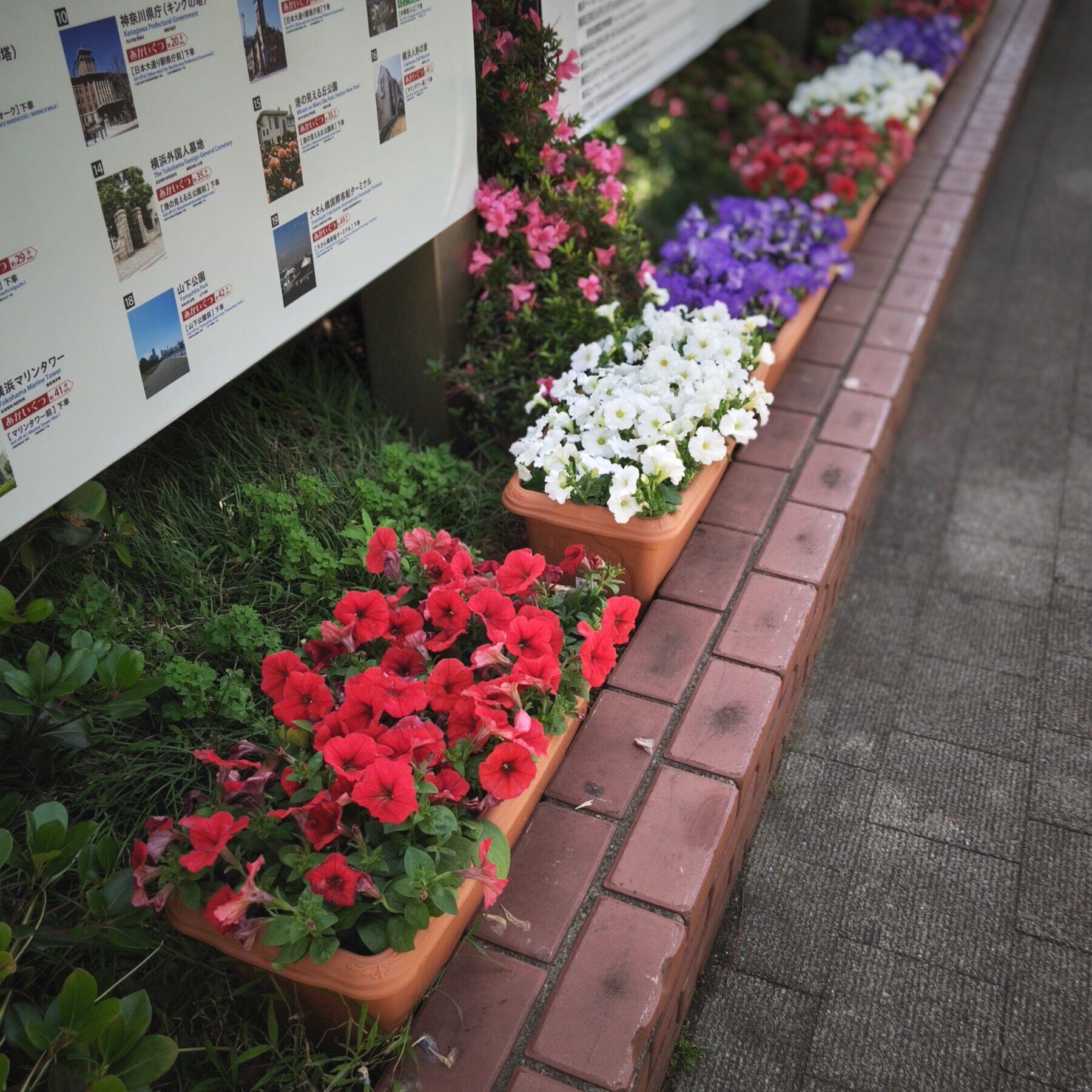 20240517_annaiban shita.jpg