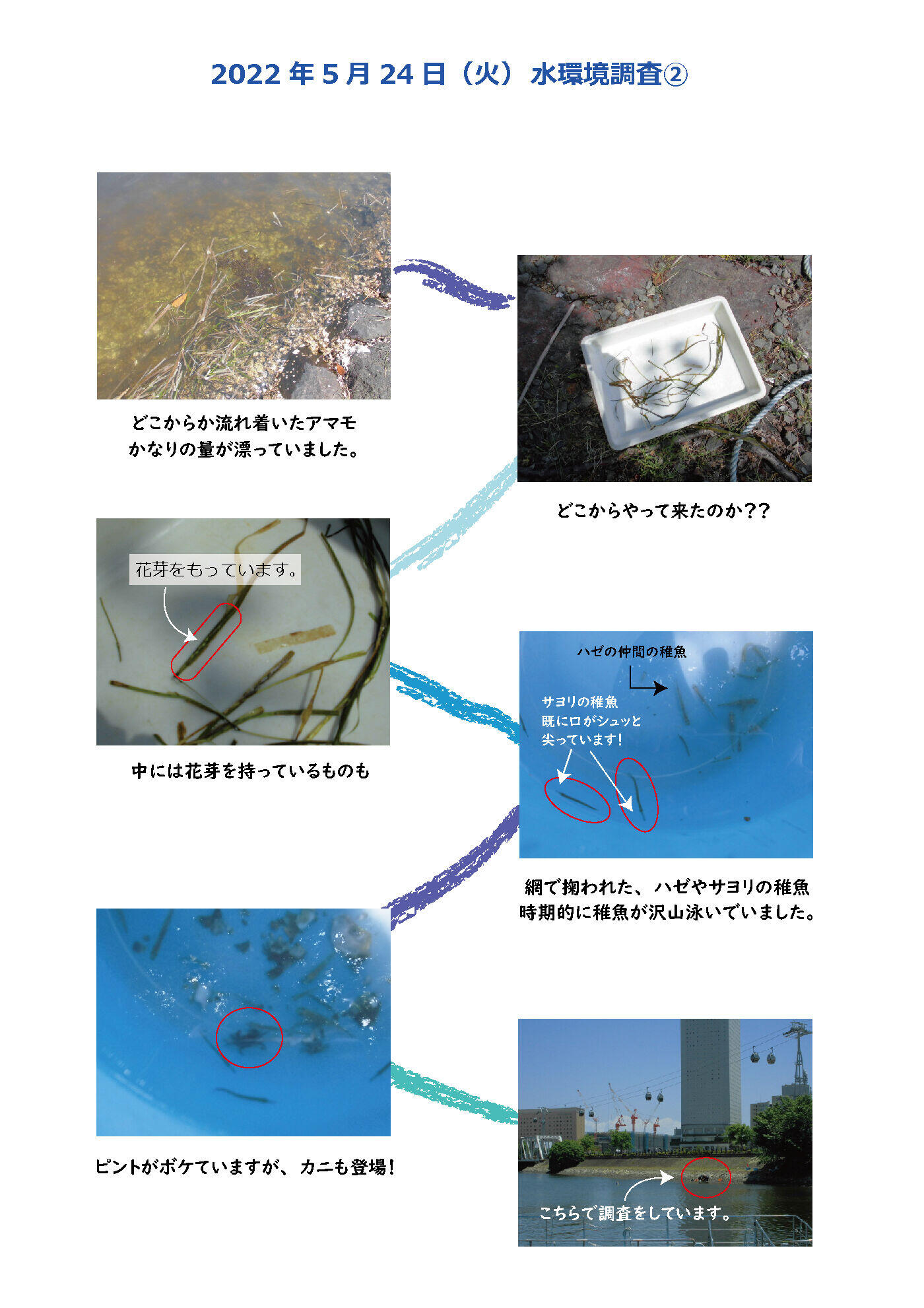 2022.5.24 ②水環境調査.jpg