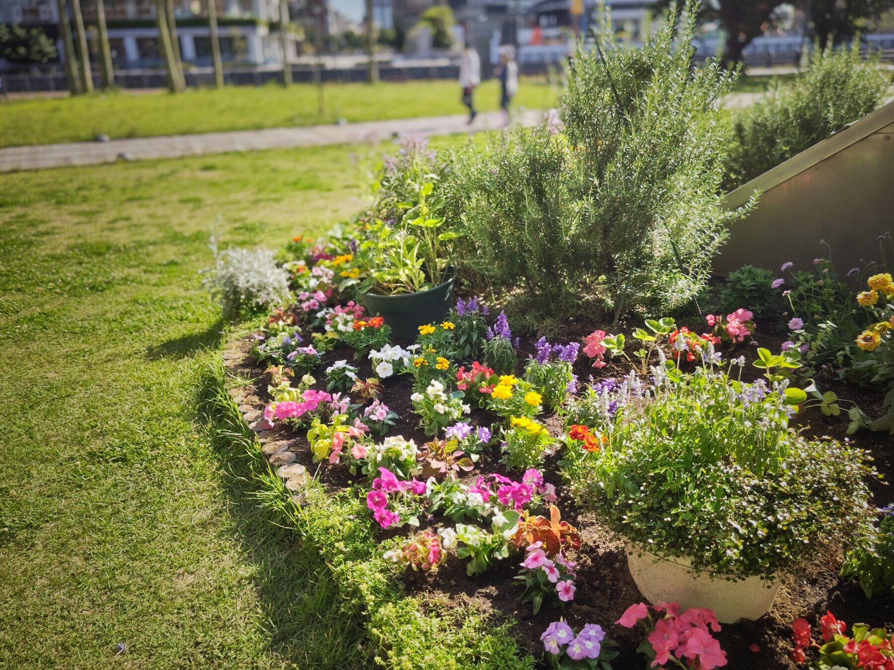 20240517_Hana dokei2.jpg