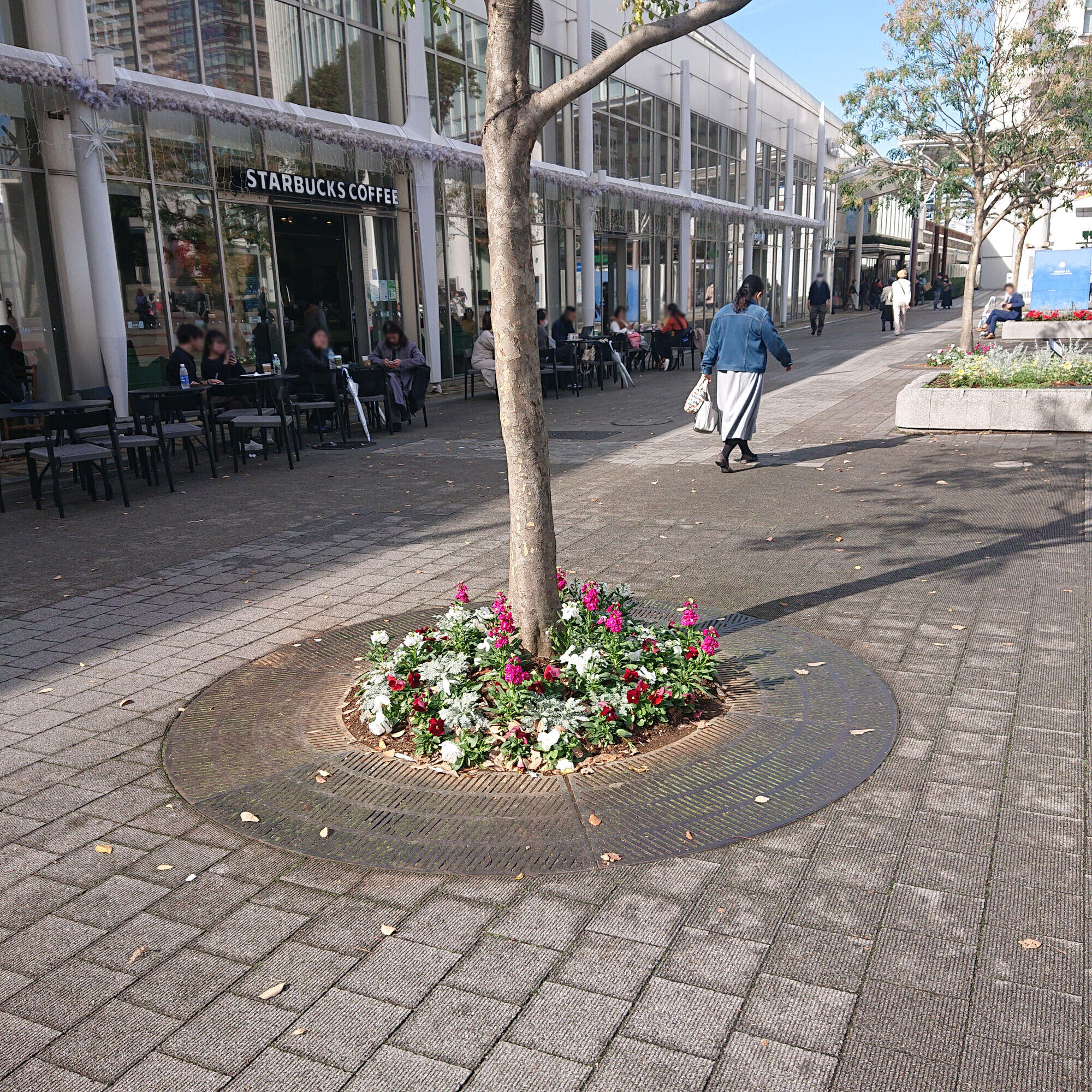 2 ぼかしDSC_0600.jpg