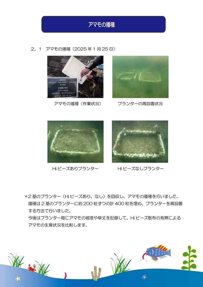 ③25.1.25　アマモ.jpg