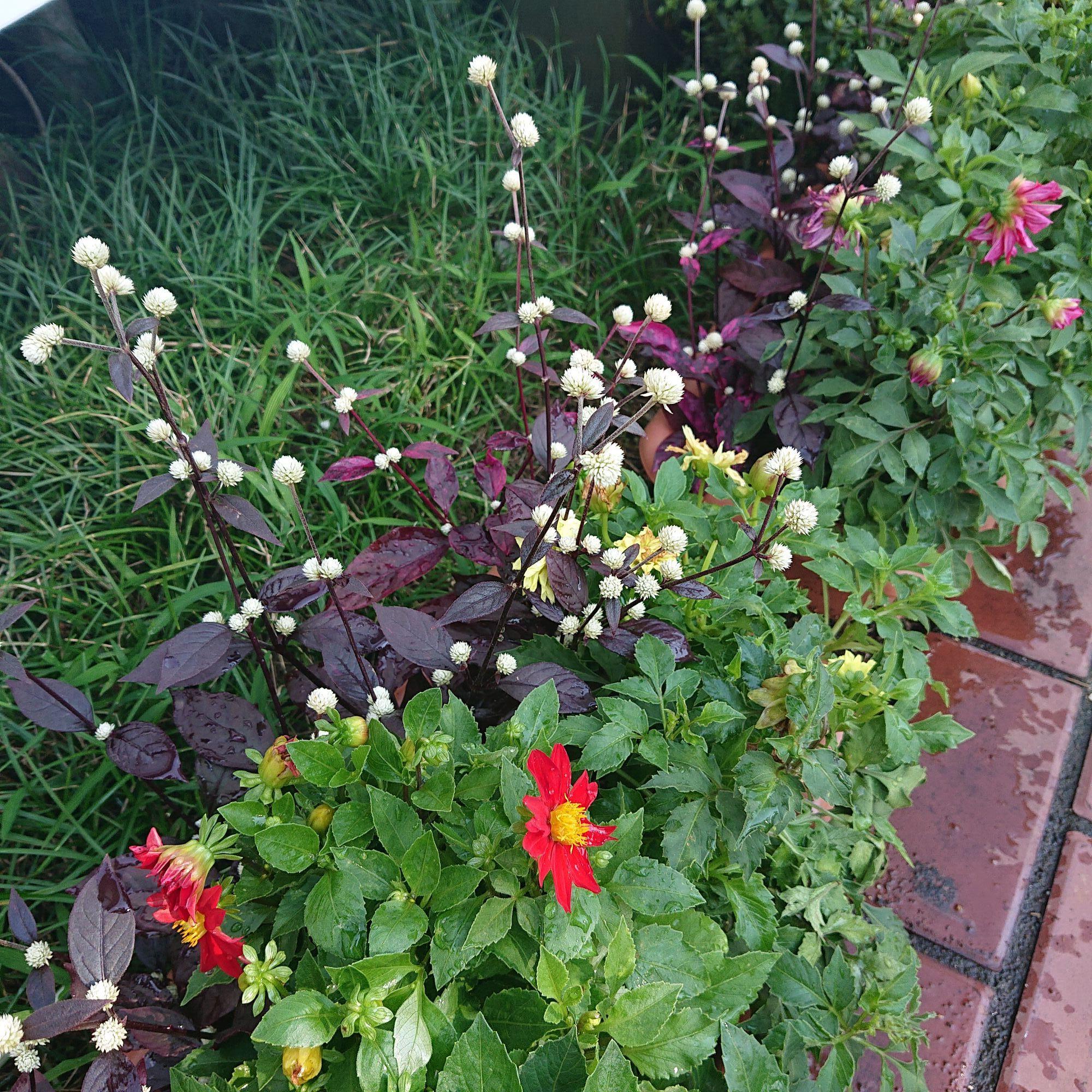 1) 2022-09-30 13.50.22.jpg