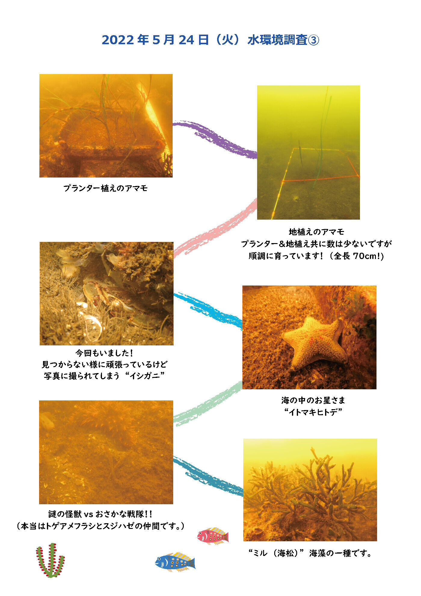 2022.5.24 ③水環境調査.jpg